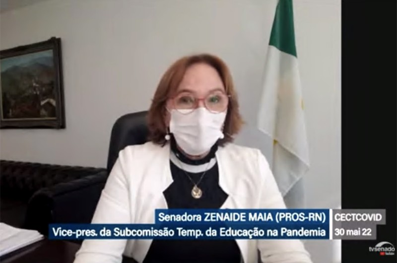 Zenaide comandou a reunião remota - Reprodução/TV Senado