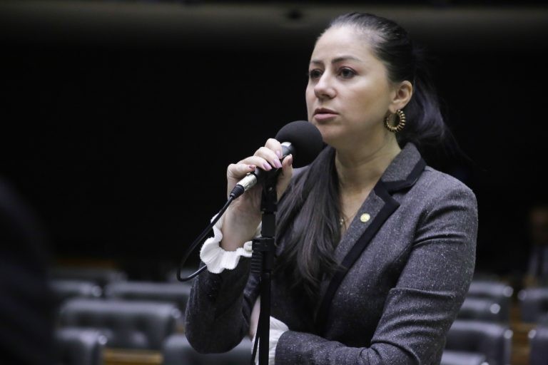 Liziane Bayer: objetivo foi ouvir os diversos atores envolvidos com a saúde mental dos jovens - (Foto: Paulo Sérgio/Câmara dos Deputados)
