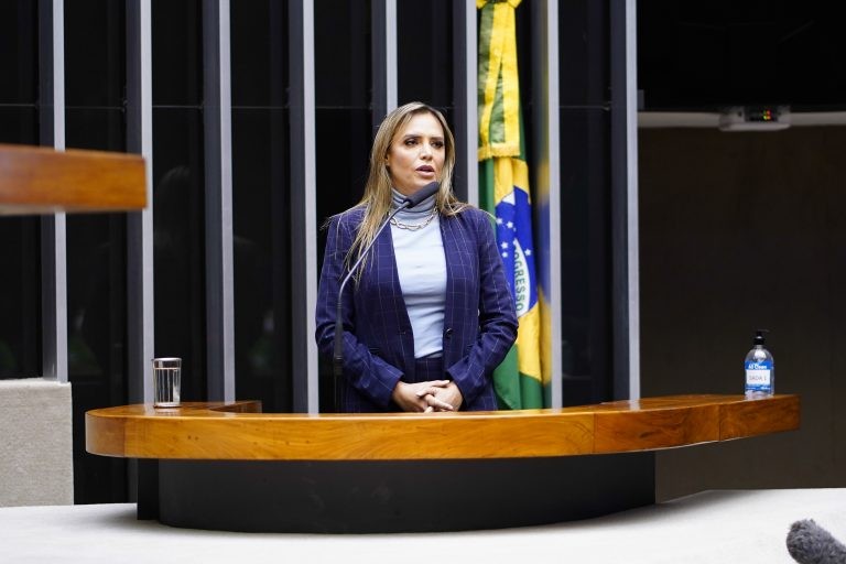 Celina Leão é autora do projeto - (Foto: Pablo Valadares/Câmara dos Deputados)