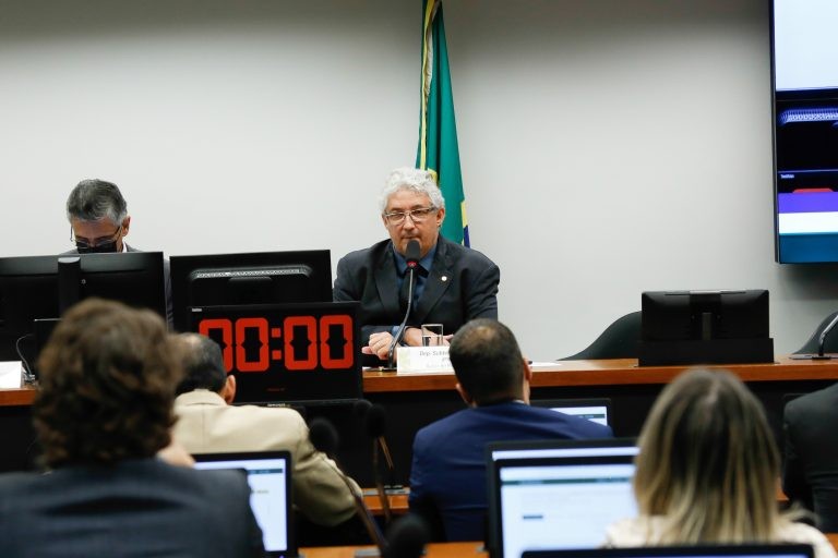 Deputado Subtenente Gonzaga (C), que presidiu a audiência pública - (Foto: Elaine Menke/Câmara dos Deputados)