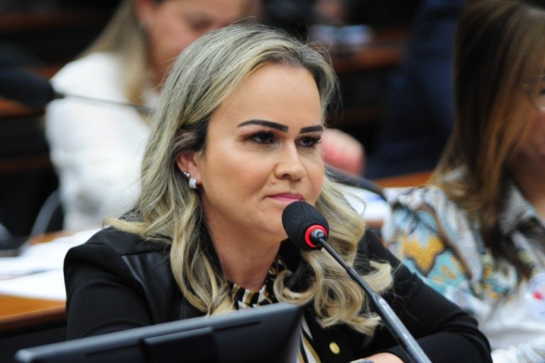 Daniela do Waguinho, relatora da proposta - (Foto: Billy Boss/Câmara dos Deputados)