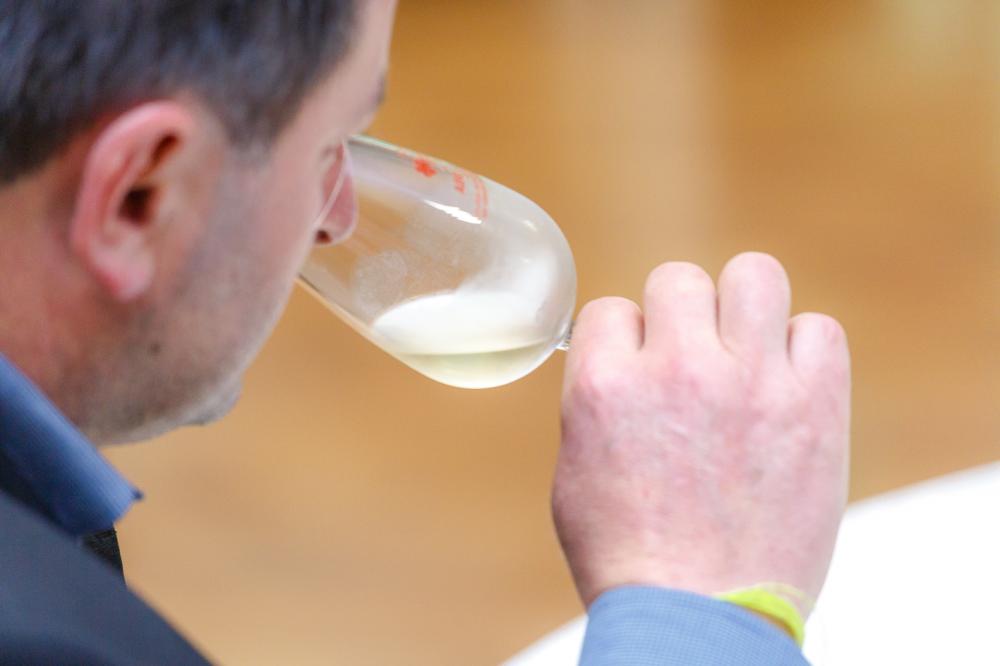 Seleção de melhores vinhos, espumantes e sucos de uva de Garibaldi está com inscrições abertas