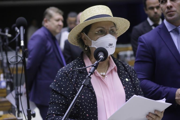 Tereza Nelma recomendou a aprovação da proposta - (Foto: Paulo Sérgio/Câmara dos Deputados)