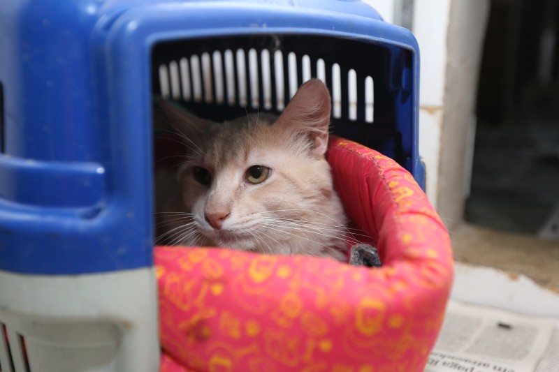 © Valter Campanato/Agência Brasil