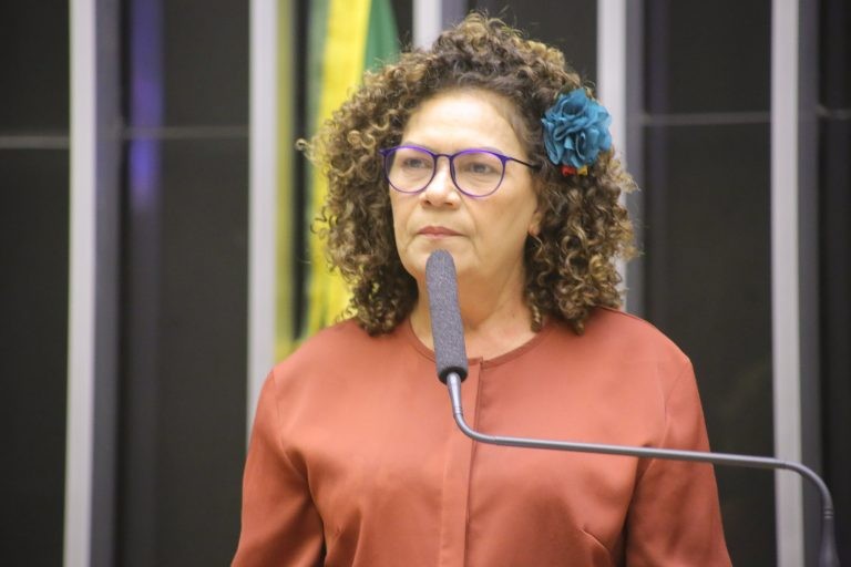 Perpétua Almeida criticou preços cada vez mais caros das passagens aéreas - (Foto: Paulo Sérgio/Câmara dos Deputados)