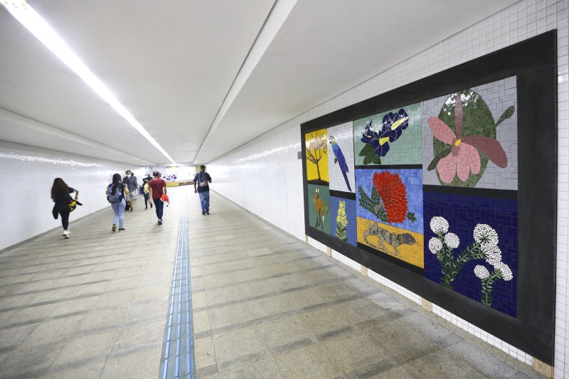 © Marcelo Camargo/Agência Brasil