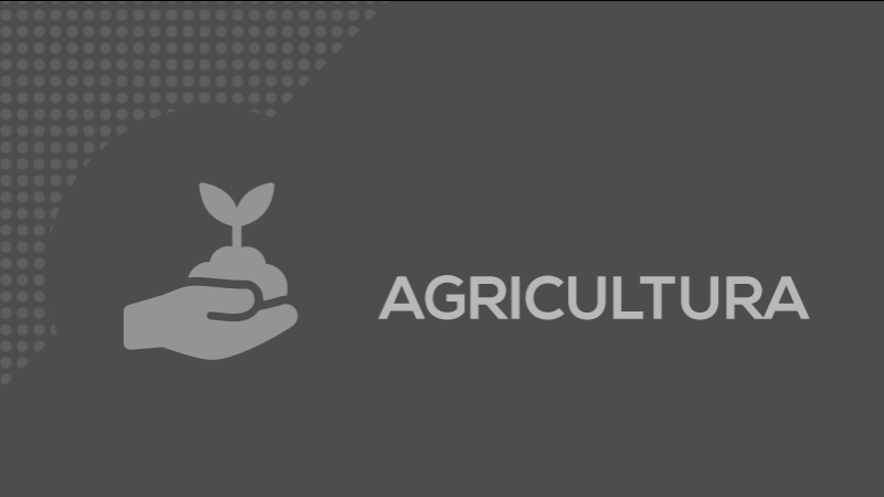 - - Foto: Bruno Ibaldo / Arte Secom