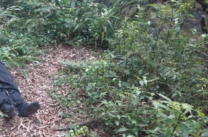 Corpo foi desovado pelos criminosos no Vale Aurora 