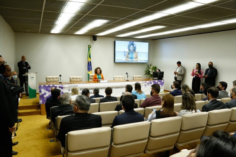 Perpétua Almeida (na mesa) lembrou o papel dos bancos do financiamento de longo prazo - (Foto: Elaine Menke/Câmara dos Deputados)