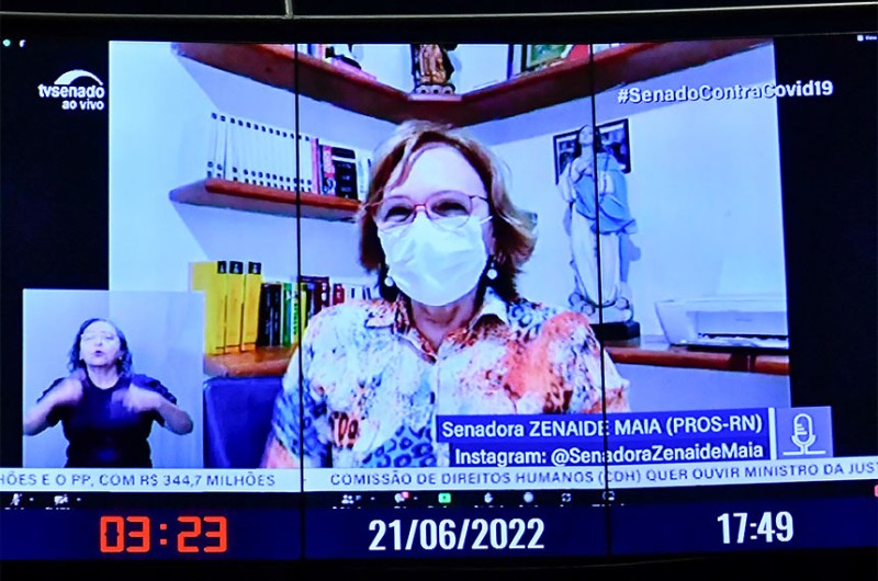 Em discurso por videoconferência, Zenaide cobrou investimento público e ações de geração de emprego e renda - Waldemir Barreto/Agência Senado