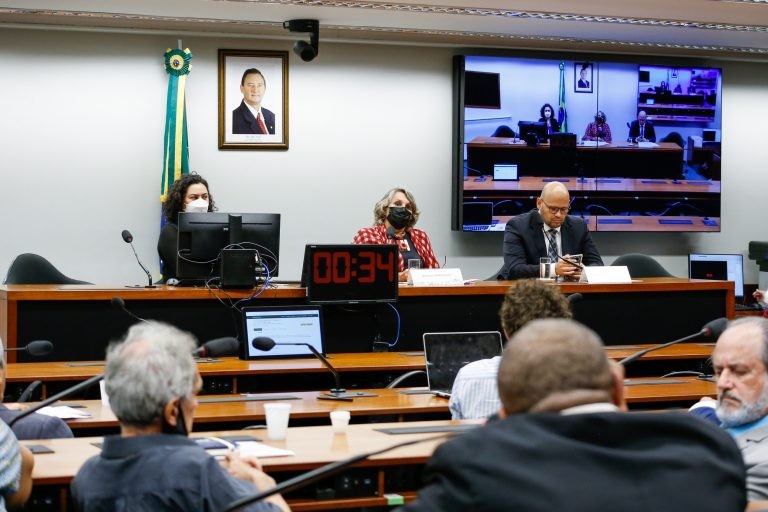 Erika Kokay (C) e Victor Neiva, em audiência sobre a Comissão de Anistia - (Foto: Elaine Menke/Câmara do Deputados)