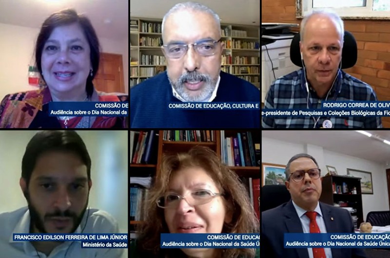 Preocupados com aumento de doenças, debatedores apoiam Dia Nacional da Saúde Única