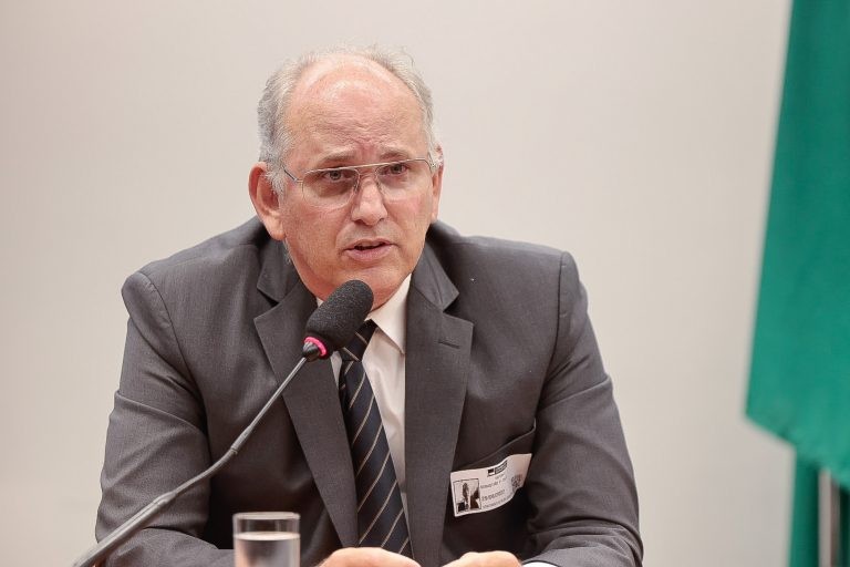 Silva Neto: 7% da área de grãos usa remineralizadores - (Foto: Rodrigo Pertote/Câmara dos Deputados)