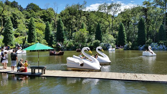 Homem vestido de pirata apalpava crianças enquanto elas tiravam foto com ele - Foto: Divulgação