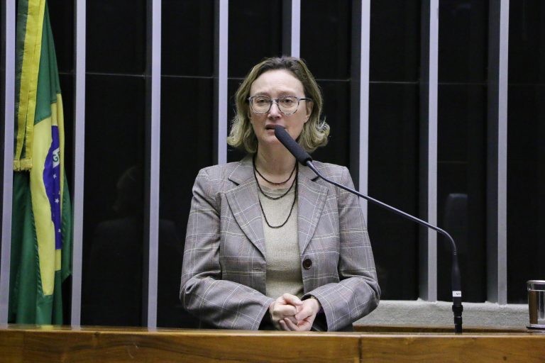 Maria do Rosário propôs a realização da audiência pública - (Foto: Wesley Amaral/Câmara dos Deputados)