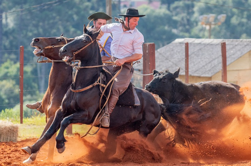 O torneio tem etapas nacionais e internacionais - Felipe Ulbrich/ABCCC