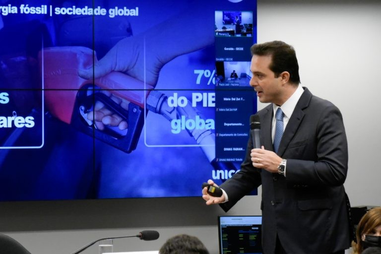 Gussi: distorção de preços é incoerente com a transição para o uso de energias limpas - (Foto: Alan Rones/Câmara dos Deputados)