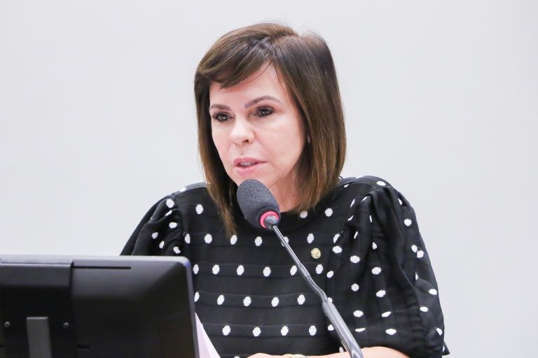Dorinha Seabra: medida financia indiretamente a seguridade social - (Foto: Wesley Amaral/Câmara dos Deputados)