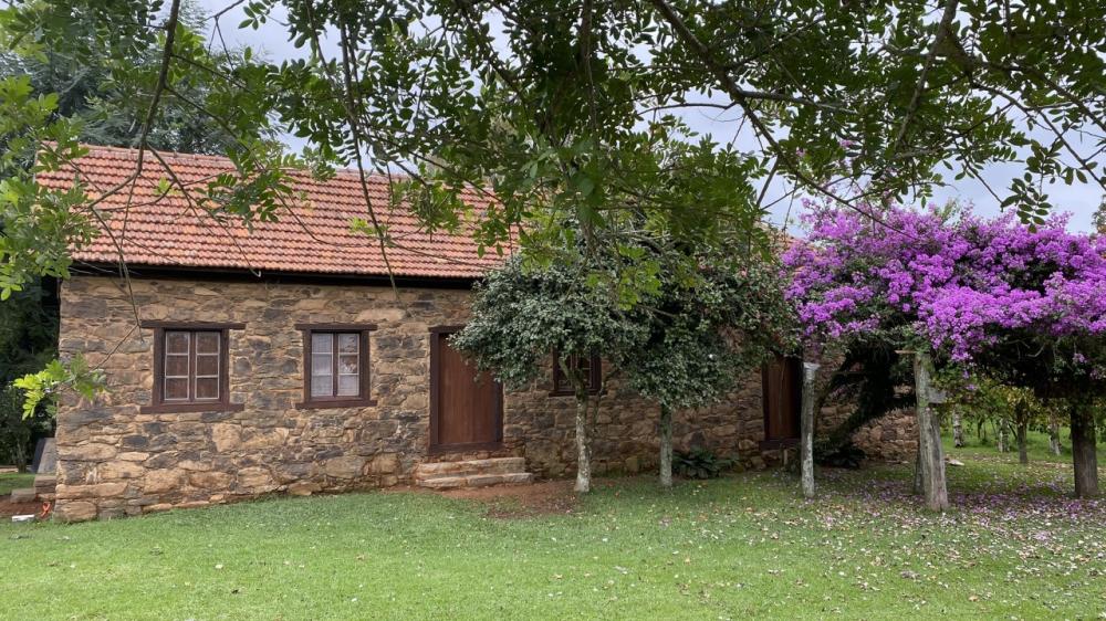 Crédito: Patrícia Pasini