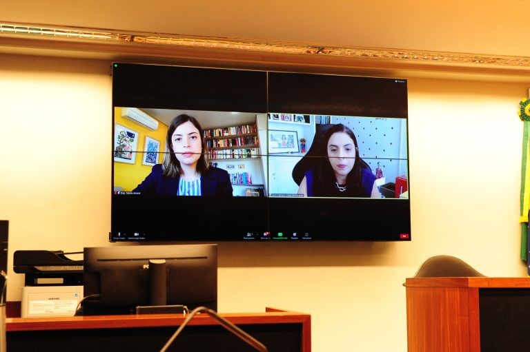 Tabata Amaral (E) e Carolina Campos, durante debate virtual - (Foto: Billy Boss/Câmara dos Deputados)