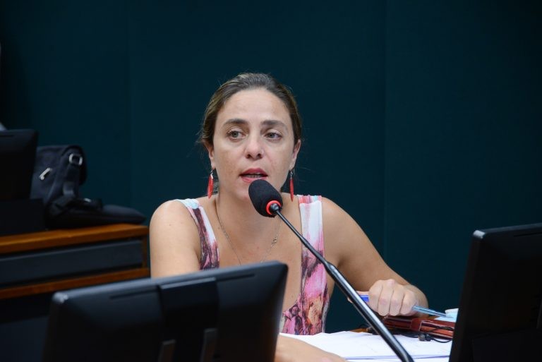 A relatora, deputada Fernanda Melchionna - (Foto: Billy Boss/Câmara dos Deputados)