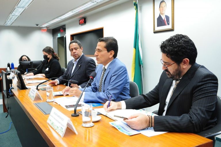Audiência também celebrou os 40 anos da atuação da Acnur no País - (Foto: Billy Boss/Câmara dos Deputados)