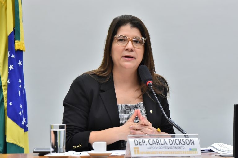Carla Dickson espera que a proposta proteja as vítimas de novos delitos - (Foto: Reila Maria/Câmara dos Deputados)