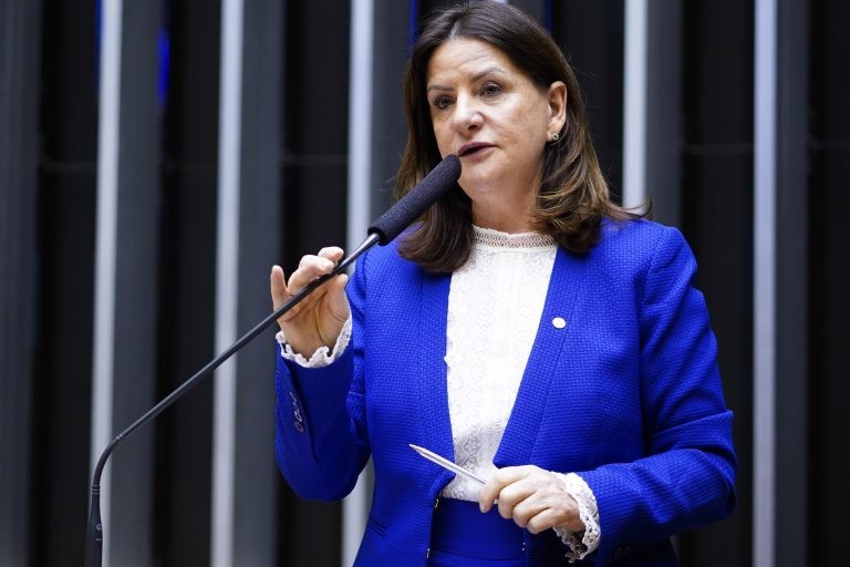 Deputada Carmen Zanotto, autora da proposta - (Foto: Pablo Valadares/Câmara dos Deputados)