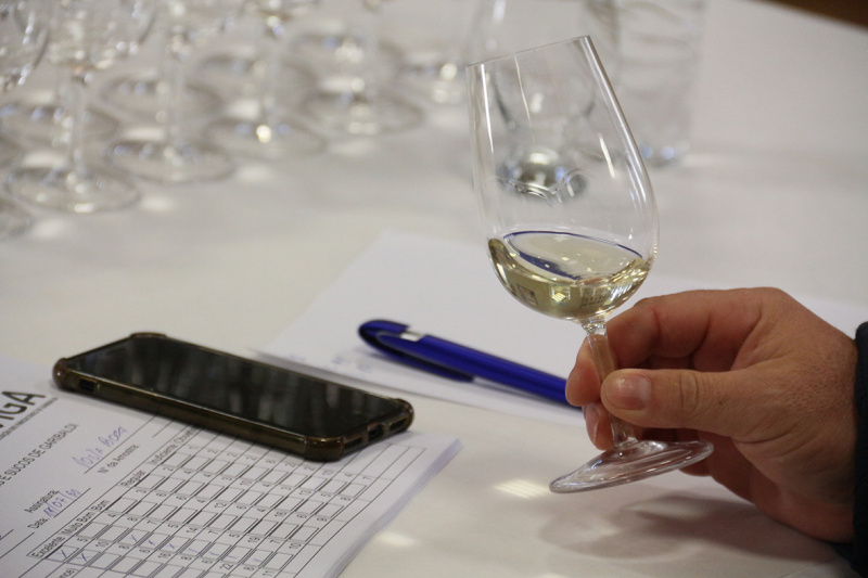 Neste ano, a classificação dos vinhos, espumantes e sucos será estabelecida através da pontuação atribuída pelo grupo de degustadores de cada amostra. Créditos: Alexandra Ungaratto