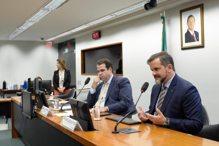 Andrei Freitas (D): problemas pontuais devem ser levados ao Cade - (Foto: Alan Rones/Câmara dos Deputados)