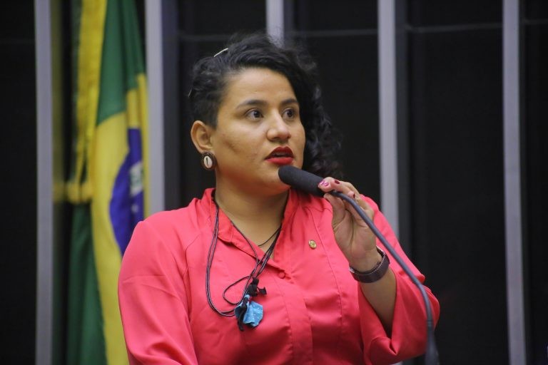 A autora da proposta, deputada Vivi Reis - (Foto: Paulo Sérgio/Câmara dos Deputados)