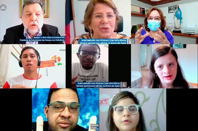 Senadores Flávio Arns, Nilda Gondim e Zenaide Maia (ao alto) com convidados de debate da subcomissão, em 2021 - Reprodução/Tv Senado