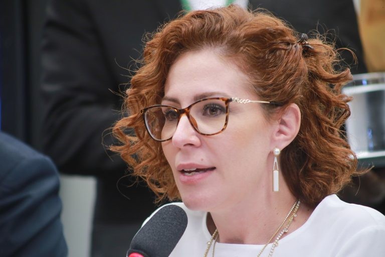 Carla Zambelli: legislação atual não está adequada às comunicações eletrônicas - (Foto: Paulo Sérgio/Câmara dos Deputados)