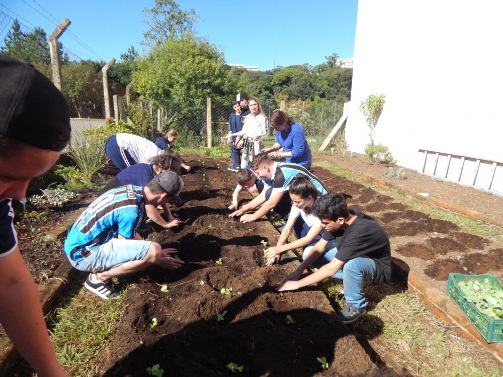 A primeira escola a receber o projeto será a Escola Municipal de Ensino Fundamental Nossa Senhora Aparecida, de Carlos Barbosa, nesta quinta-feira, 04. Crédito: Divulgação 