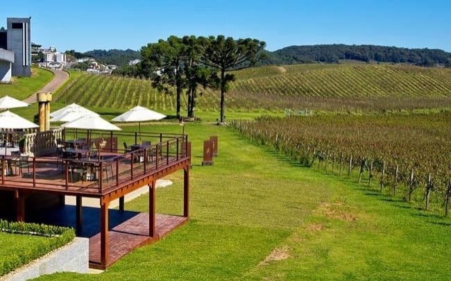 As vinícolas que fazem parte da Associação de Produtores dos Vinhos dos Altos Montes (Apromontes), localizada em Flores da Cunha, percebem o aumento de turistas na região, principalmente nas épocas mais frias do ano. 