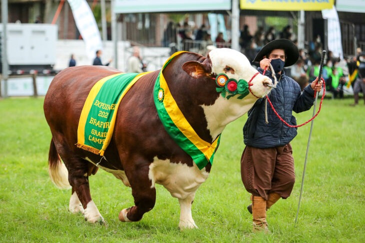 A exposição de animais tem a finalidade de expor e comercializar reprodutores das diferentes espécies de animais domésticos, além de proporcionar conhecimento aos seus criadores. 