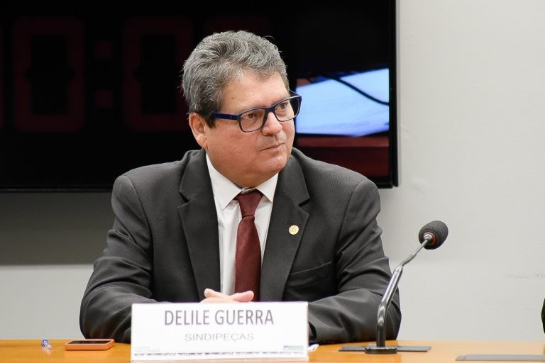 Delile Guerra: peças reaproveitadas não garantem segurança ao consumidor - (Foto: Alan Rones/Câmara dos Deputados)