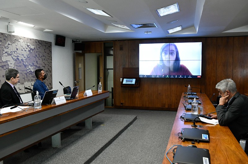 Reunião da comissão em 14 de julho, quando foram ouvidas lideranças indígenas e a mulher de Bruno, Beatriz Matos