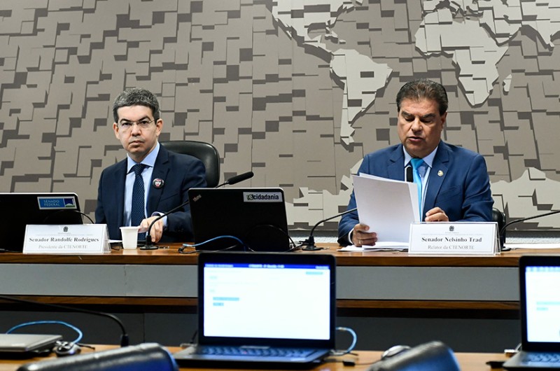 O presidente da comissão, Randolfe Rodrigues, e o relator, Nelsinho Trad, na análise do relatório - Reprodução