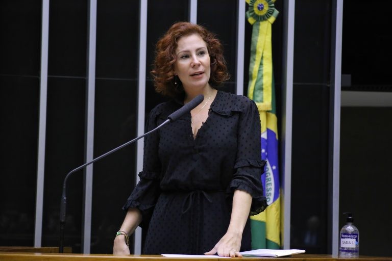 Carla Zambelli propõe alteração na Lei de Crimes Ambientais - (Foto: Michel Jesus/Câmara dos Deputados)