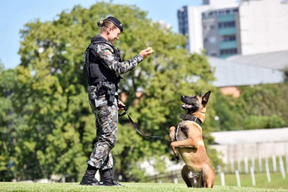 Crédito: Jackson Cardoso
