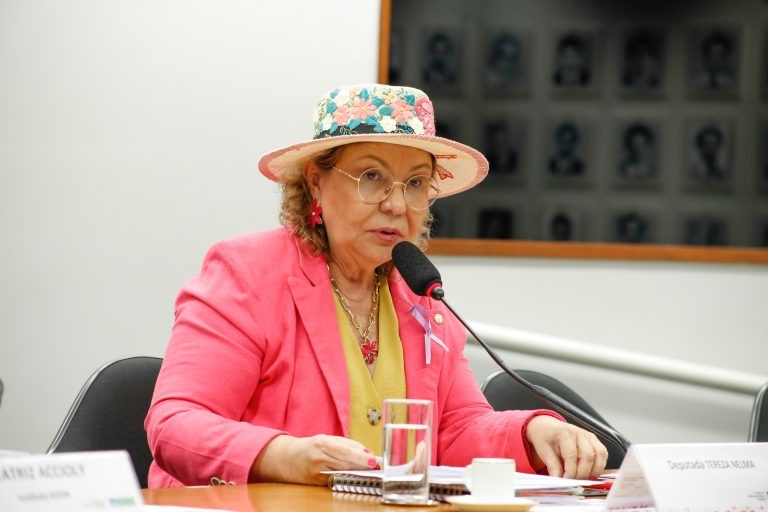 Tereza Nelma criticou baixo número de varas judiciais especializadas em mulher - (Foto: Elaine Menke/Câmara do Deputados)