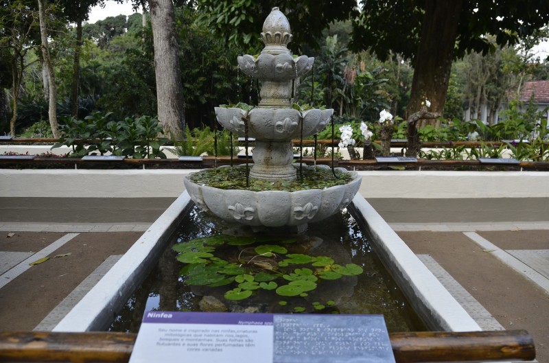 © Tomaz Silva/Agência Brasil