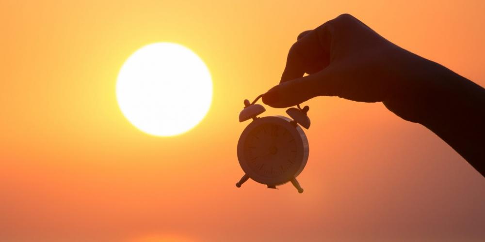 Crédito: Reprodução 