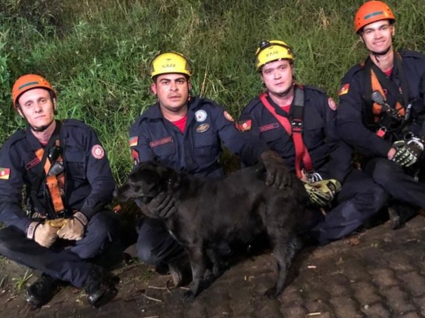 Bombeiros conseguiram resgatar o animal do desfiladeiro com vida - Foto: Corpo de Bombeiros/Divulgação