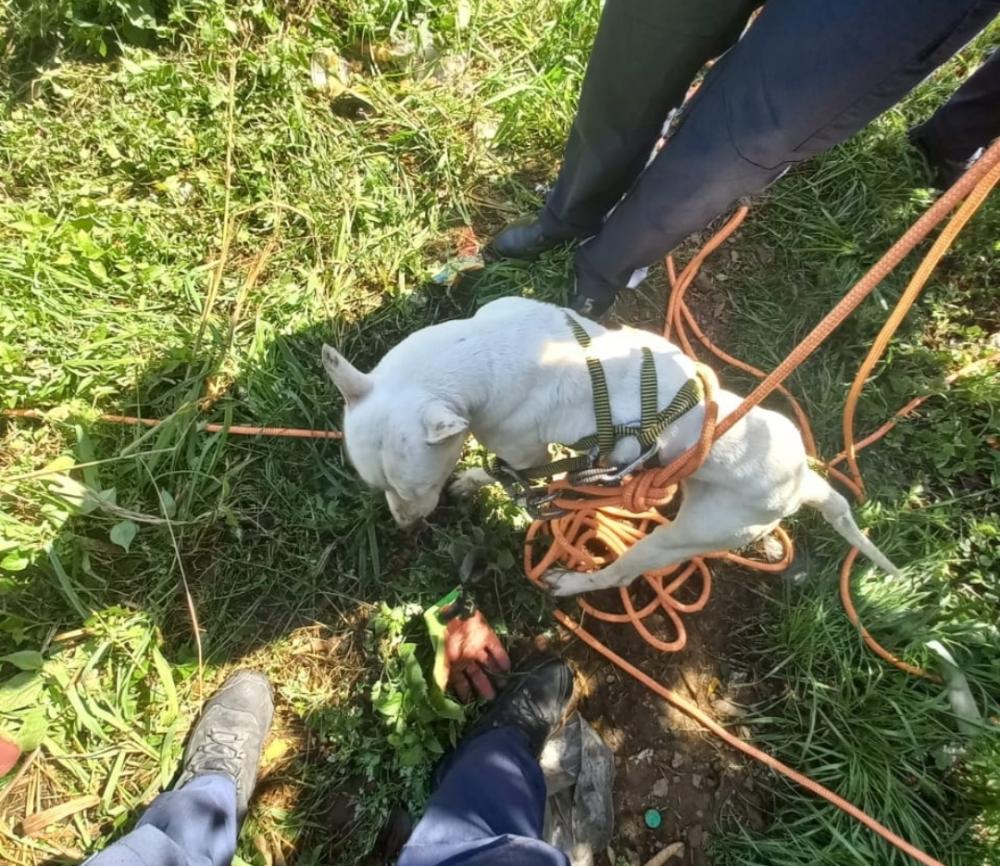 Crédito: Rádio Difusora 