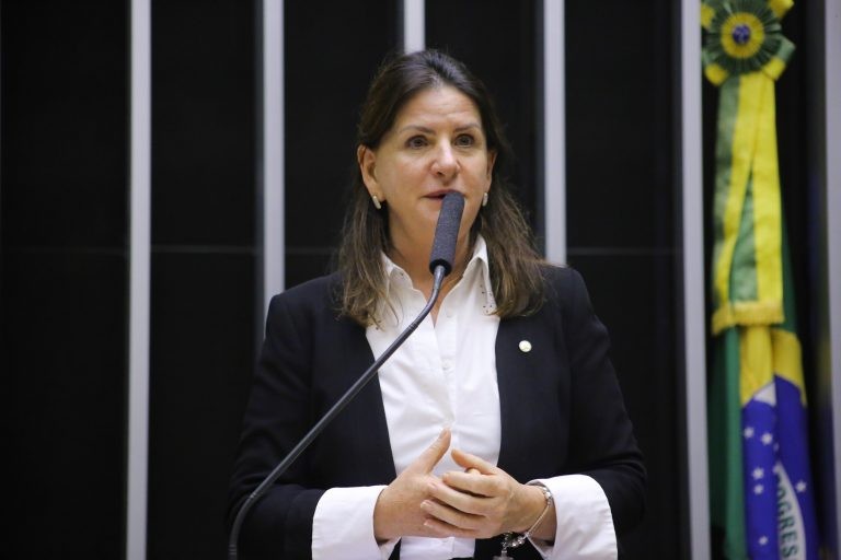 A autora da proposta, deputada Carmen Zanotto - (Foto: Paulo Sérgio/Câmara dos Deputados)