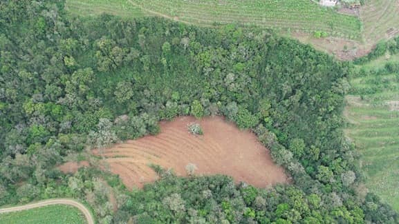 Crédito: Divulgação/ 3º Pelotão Ambiental da Brigada Militar,