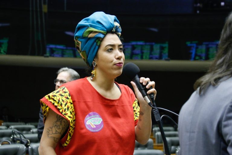 Talíria Petrone, uma das autoras da proposta - (Foto: Elaine Menke/Câmara do Deputados)