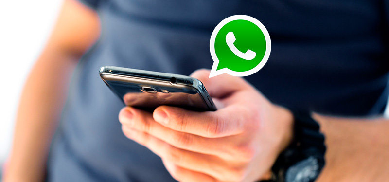  O atendimento é feito pelo WhatsApp (51) 2312-2015. Crédito: Reprodução